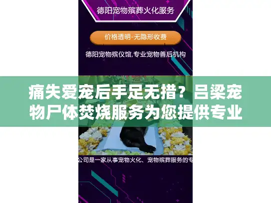痛失爱宠后手足无措？吕梁宠物尸体焚烧服务为您提供专业解决方案