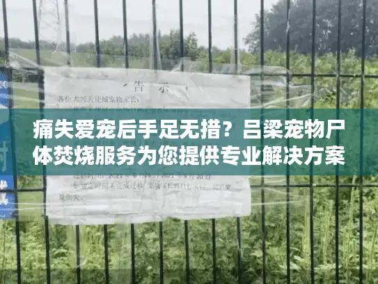 痛失爱宠后手足无措？吕梁宠物尸体焚烧服务为您提供专业解决方案