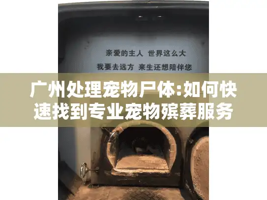 广州处理宠物尸体:如何快速找到专业宠物殡葬服务?