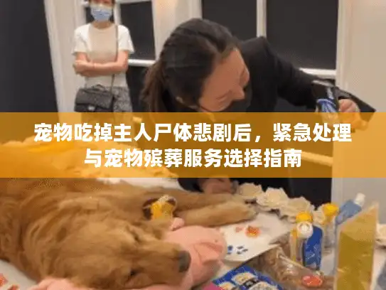 宠物吃掉主人尸体悲剧后，紧急处理与宠物殡葬服务选择指南