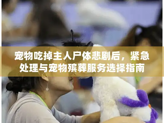 宠物吃掉主人尸体悲剧后，紧急处理与宠物殡葬服务选择指南