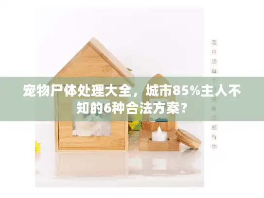 宠物尸体处理大全，城市85%主人不知的6种合法方案？