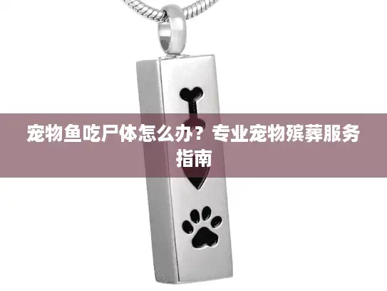 宠物鱼吃尸体怎么办？专业宠物殡葬服务指南
