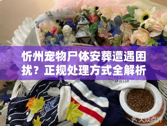 忻州宠物尸体安葬遭遇困扰？正规处理方式全解析