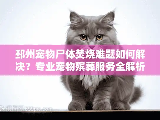 邳州宠物尸体焚烧难题如何解决？专业宠物殡葬服务全解析