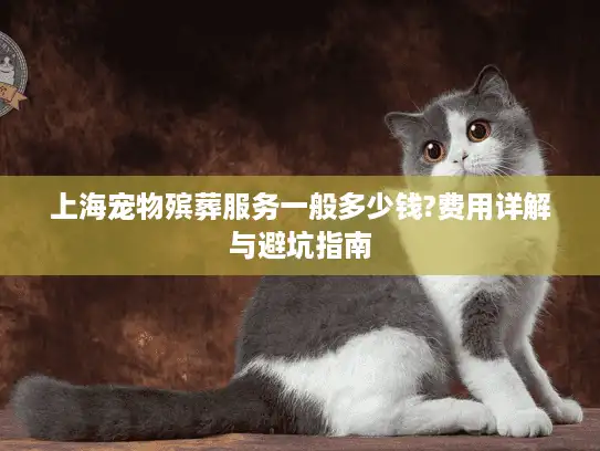 上海宠物殡葬服务一般多少钱?费用详解与避坑指南