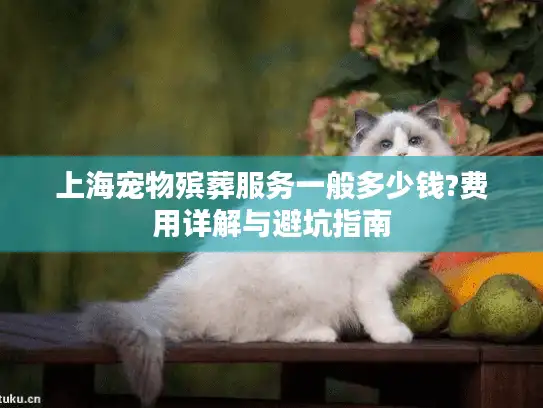 上海宠物殡葬服务一般多少钱?费用详解与避坑指南