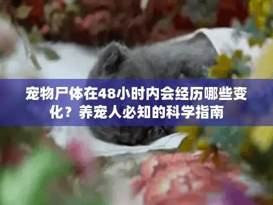 宠物尸体在48小时内会经历哪些变化？养宠人必知的科学指南
