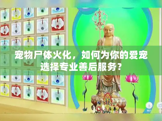 宠物尸体火化，如何为你的爱宠选择专业善后服务？