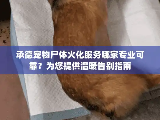 承德宠物尸体火化服务哪家专业可靠？为您提供温暖告别指南
