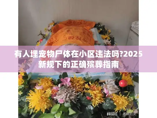 有人埋宠物尸体在小区违法吗?2025新规下的正确殡葬指南