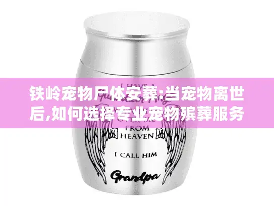 铁岭宠物尸体安葬:当宠物离世后,如何选择专业宠物殡葬服务?