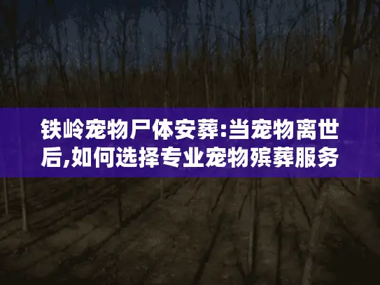 铁岭宠物尸体安葬:当宠物离世后,如何选择专业宠物殡葬服务?