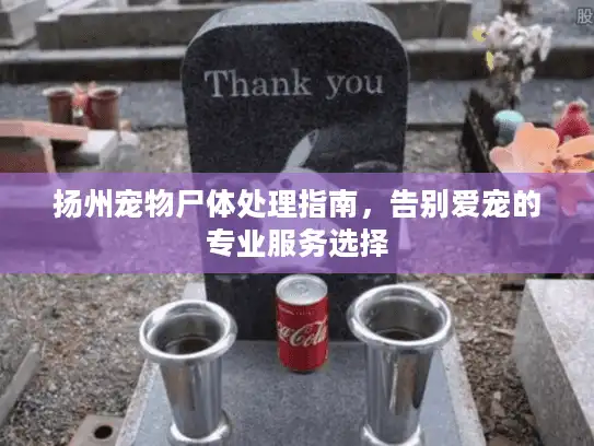 扬州宠物尸体处理指南，告别爱宠的专业服务选择
