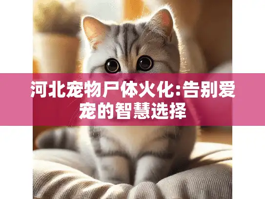 河北宠物尸体火化:告别爱宠的智慧选择