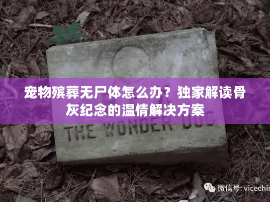 宠物殡葬无尸体怎么办？独家解读骨灰纪念的温情解决方案