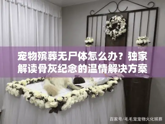 宠物殡葬无尸体怎么办？独家解读骨灰纪念的温情解决方案
