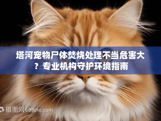 塔河宠物尸体焚烧处理不当危害大？专业机构守护环境指南