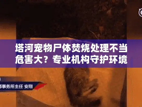 塔河宠物尸体焚烧处理不当危害大？专业机构守护环境指南