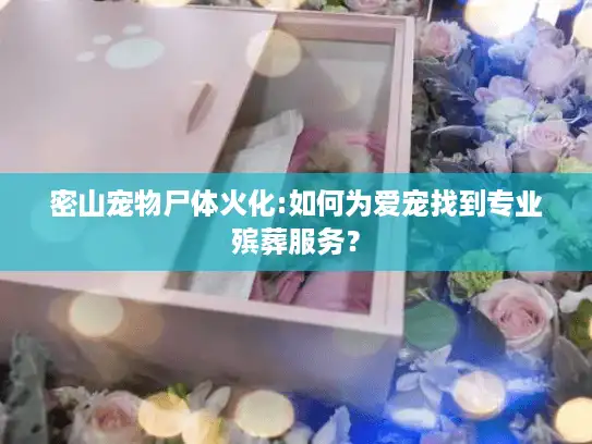 密山宠物尸体火化:如何为爱宠找到专业殡葬服务？