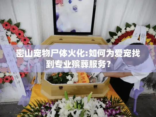 密山宠物尸体火化:如何为爱宠找到专业殡葬服务？