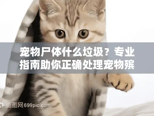 宠物尸体什么垃圾？专业指南助你正确处理宠物殡葬