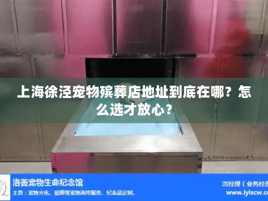 上海徐泾宠物殡葬店地址到底在哪？怎么选才放心？