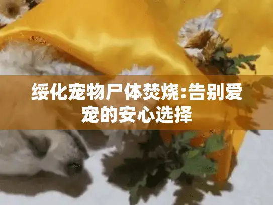 绥化宠物尸体焚烧:告别爱宠的安心选择