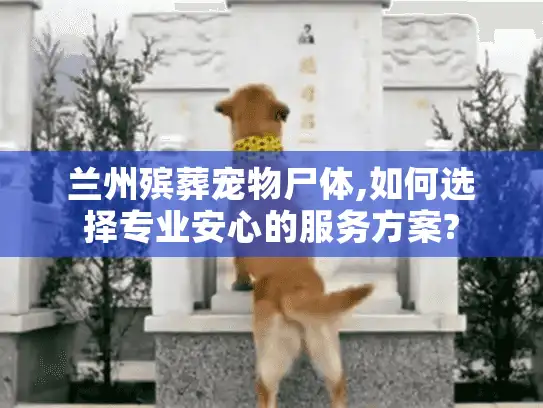 兰州殡葬宠物尸体,如何选择专业安心的服务方案?