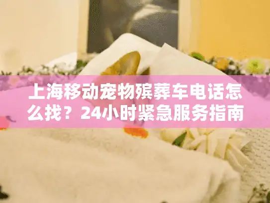 上海移动宠物殡葬车电话怎么找？24小时紧急服务指南