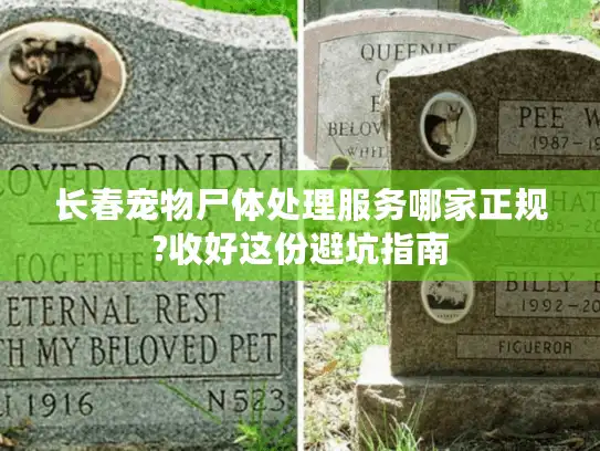 长春宠物尸体处理服务哪家正规?收好这份避坑指南