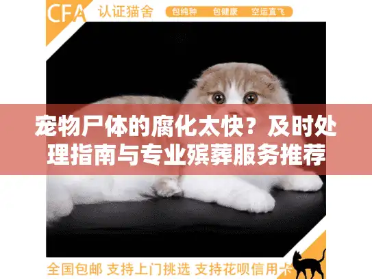 宠物尸体的腐化太快？及时处理指南与专业殡葬服务推荐