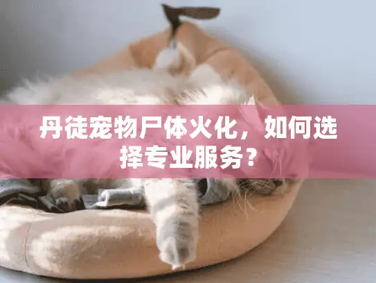 丹徒宠物尸体火化，如何选择专业服务？