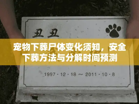 宠物下葬尸体变化须知，安全下葬方法与分解时间预测