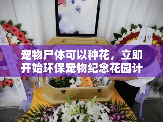宠物尸体可以种花，立即开始环保宠物纪念花园计划