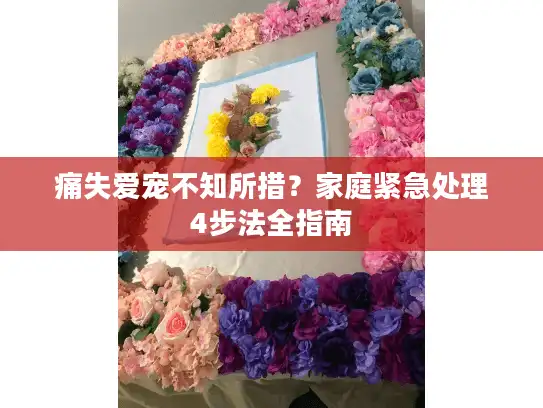 痛失爱宠不知所措？家庭紧急处理4步法全指南