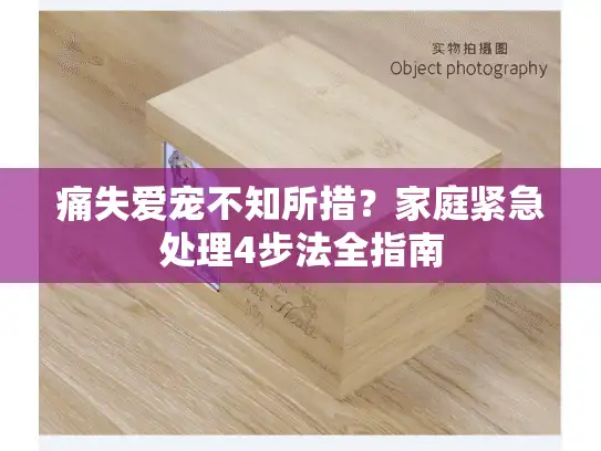 痛失爱宠不知所措？家庭紧急处理4步法全指南