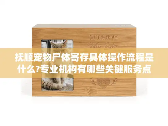 抚顺宠物尸体寄存具体操作流程是什么?专业机构有哪些关键服务点?