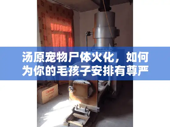 汤原宠物尸体火化，如何为你的毛孩子安排有尊严的告别？