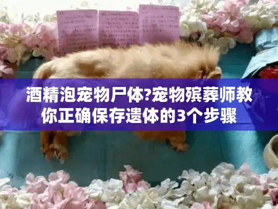 酒精泡宠物尸体?宠物殡葬师教你正确保存遗体的3个步骤