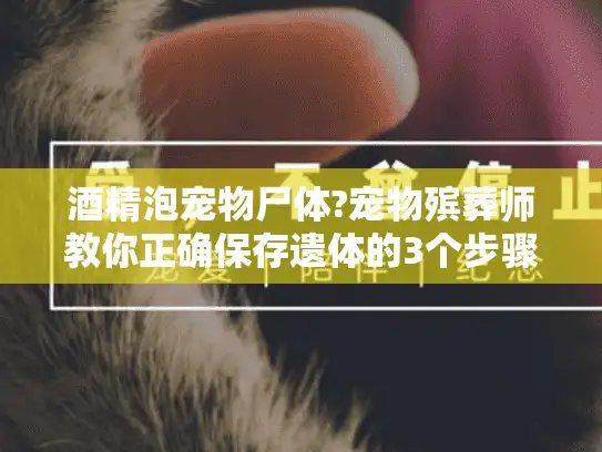 酒精泡宠物尸体?宠物殡葬师教你正确保存遗体的3个步骤