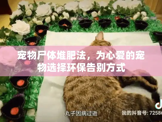 宠物尸体堆肥法，为心爱的宠物选择环保告别方式