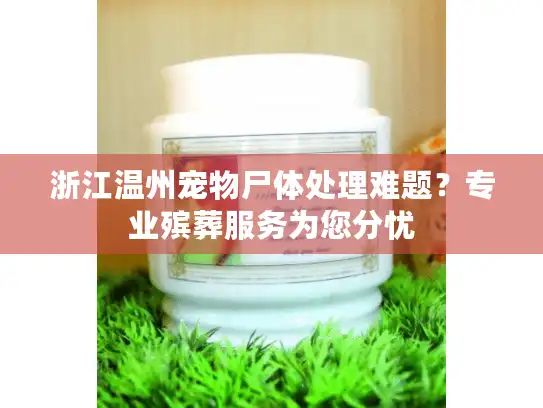 浙江温州宠物尸体处理难题？专业殡葬服务为您分忧