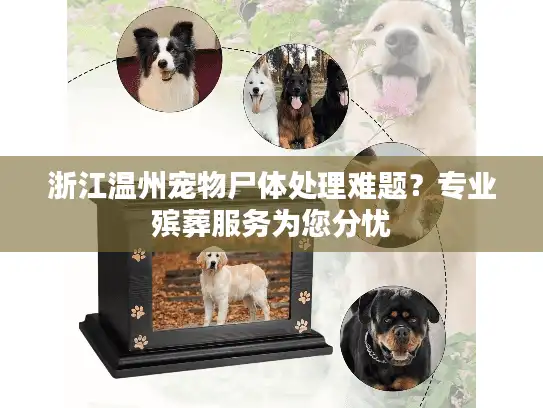 浙江温州宠物尸体处理难题？专业殡葬服务为您分忧