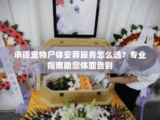 承德宠物尸体安葬服务怎么选？专业指南助您体面告别