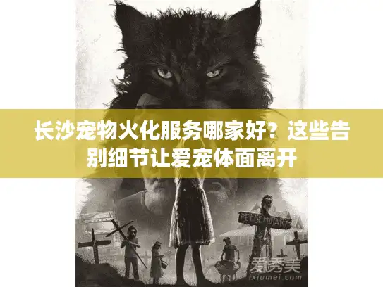 长沙宠物火化服务哪家好？这些告别细节让爱宠体面离开