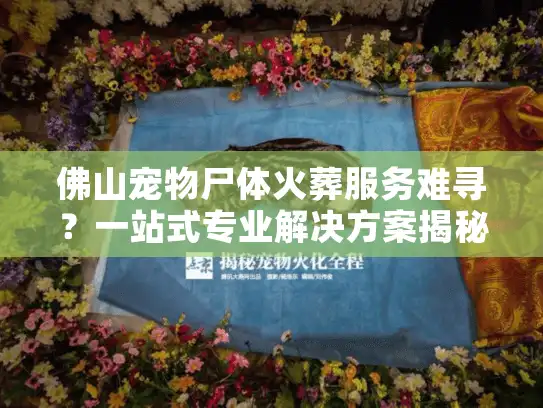 佛山宠物尸体火葬服务难寻？一站式专业解决方案揭秘