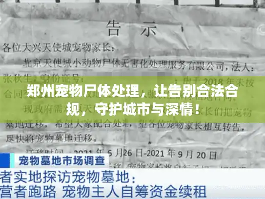 郑州宠物尸体处理，让告别合法合规，守护城市与深情！
