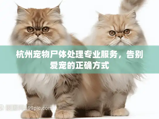 杭州宠物尸体处理专业服务，告别爱宠的正确方式