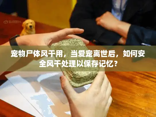 宠物尸体风干用，当爱宠离世后，如何安全风干处理以保存记忆？